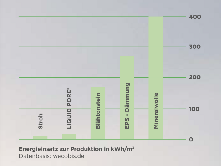 Grünes Haus aus Gras in einer Hand - spiegelt Nachhaltigkeit wieder