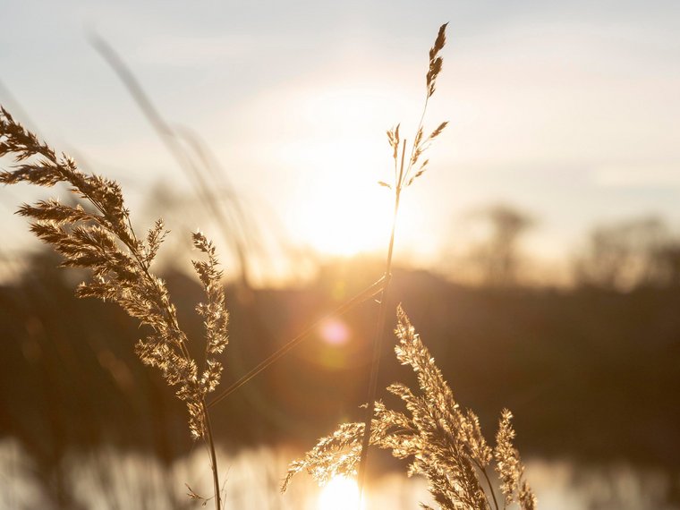 Hintergrundbild für LIQUID PORE - Blick auf einen See mit Morgenlicht