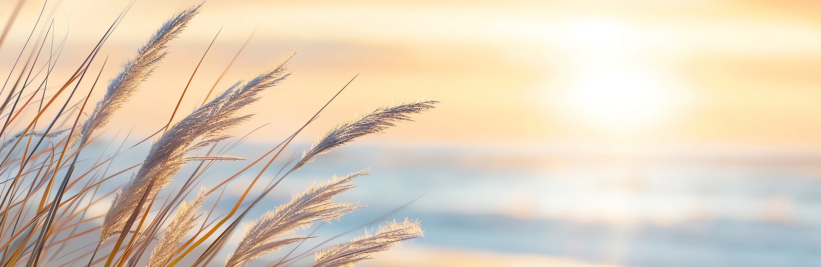 Heller Strand mit Morgenlicht